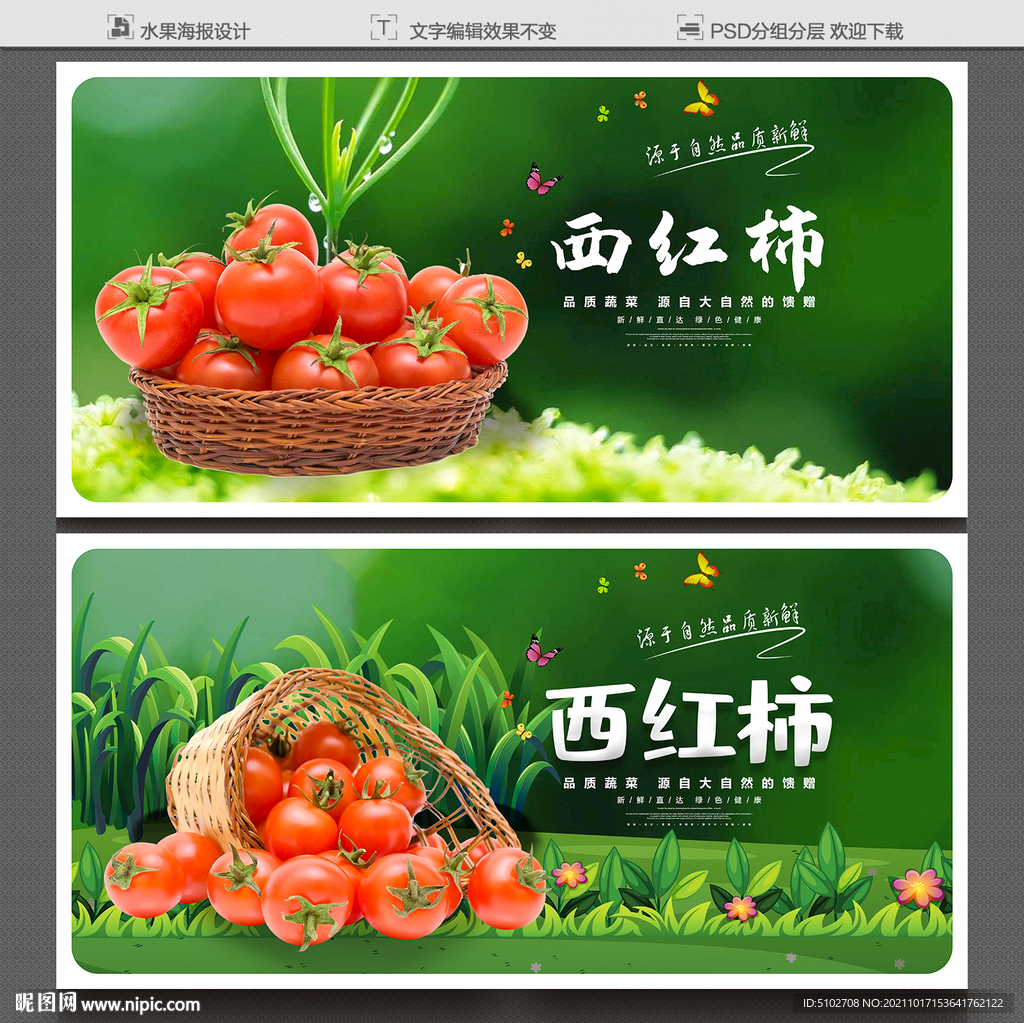西红柿