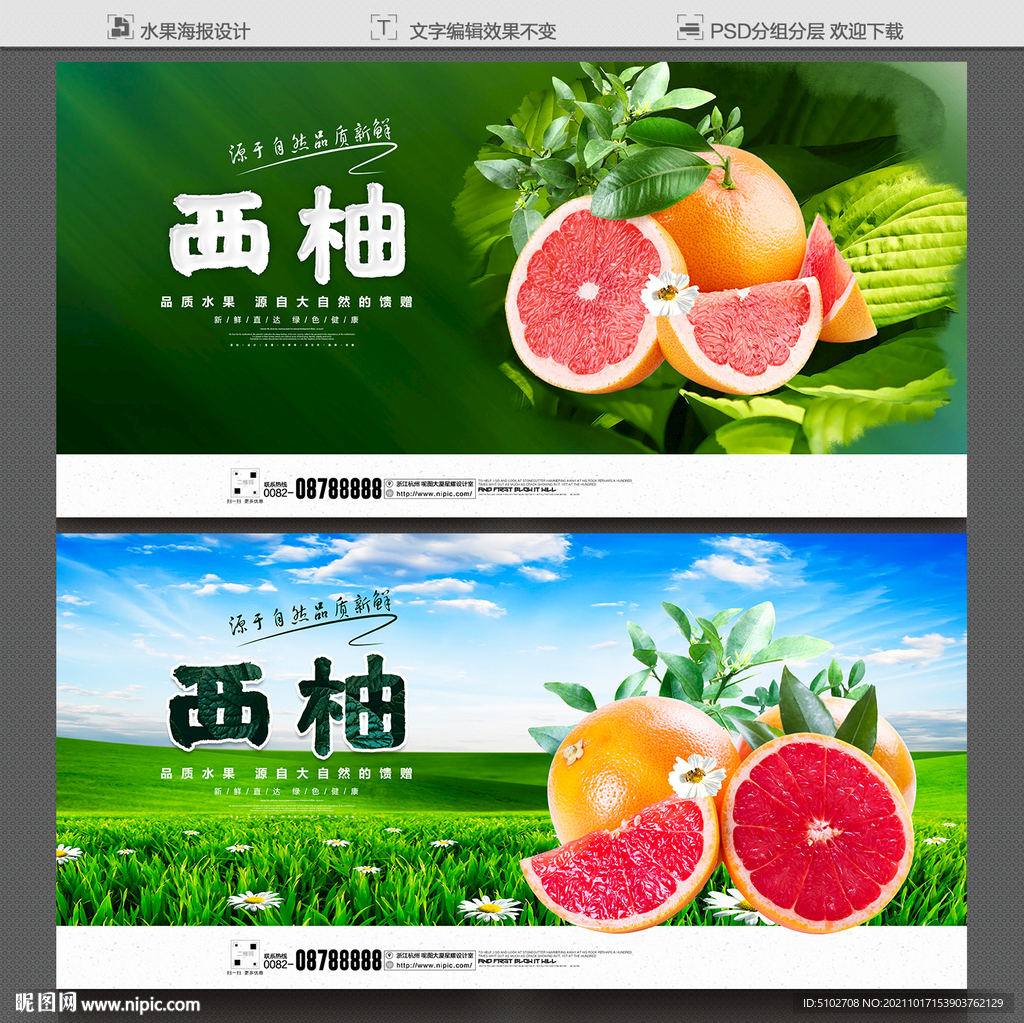 西柚
