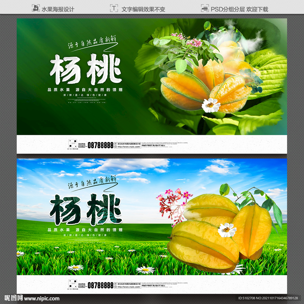 杨桃