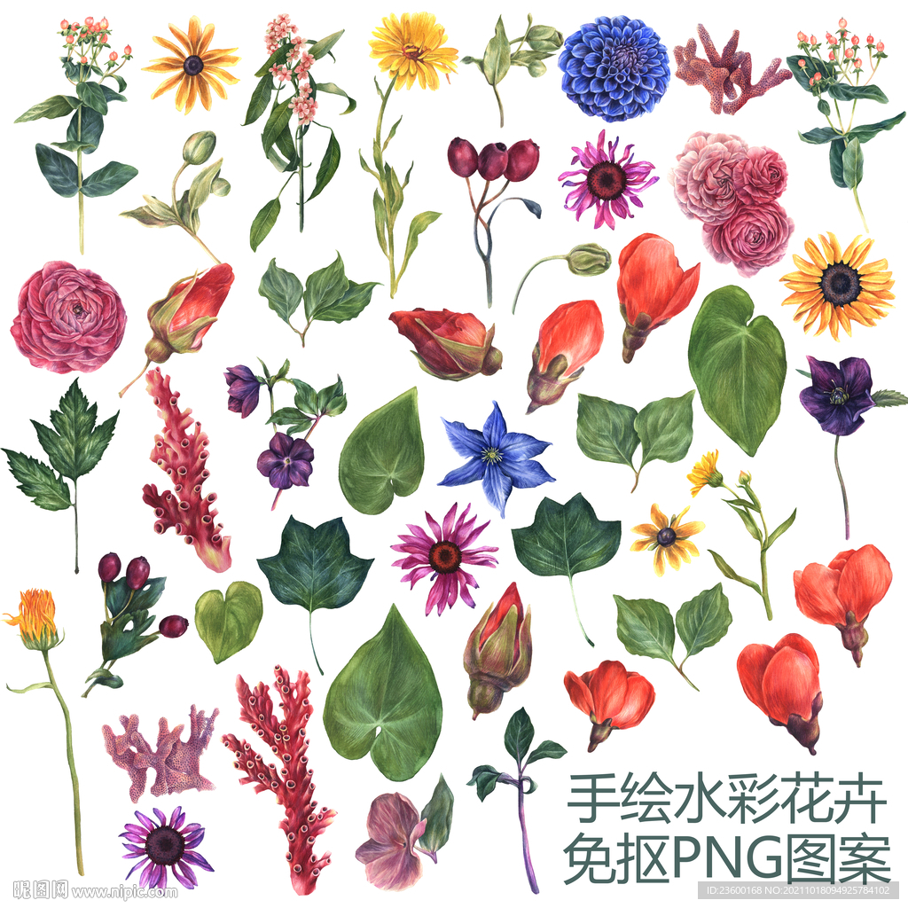 手绘水彩花卉