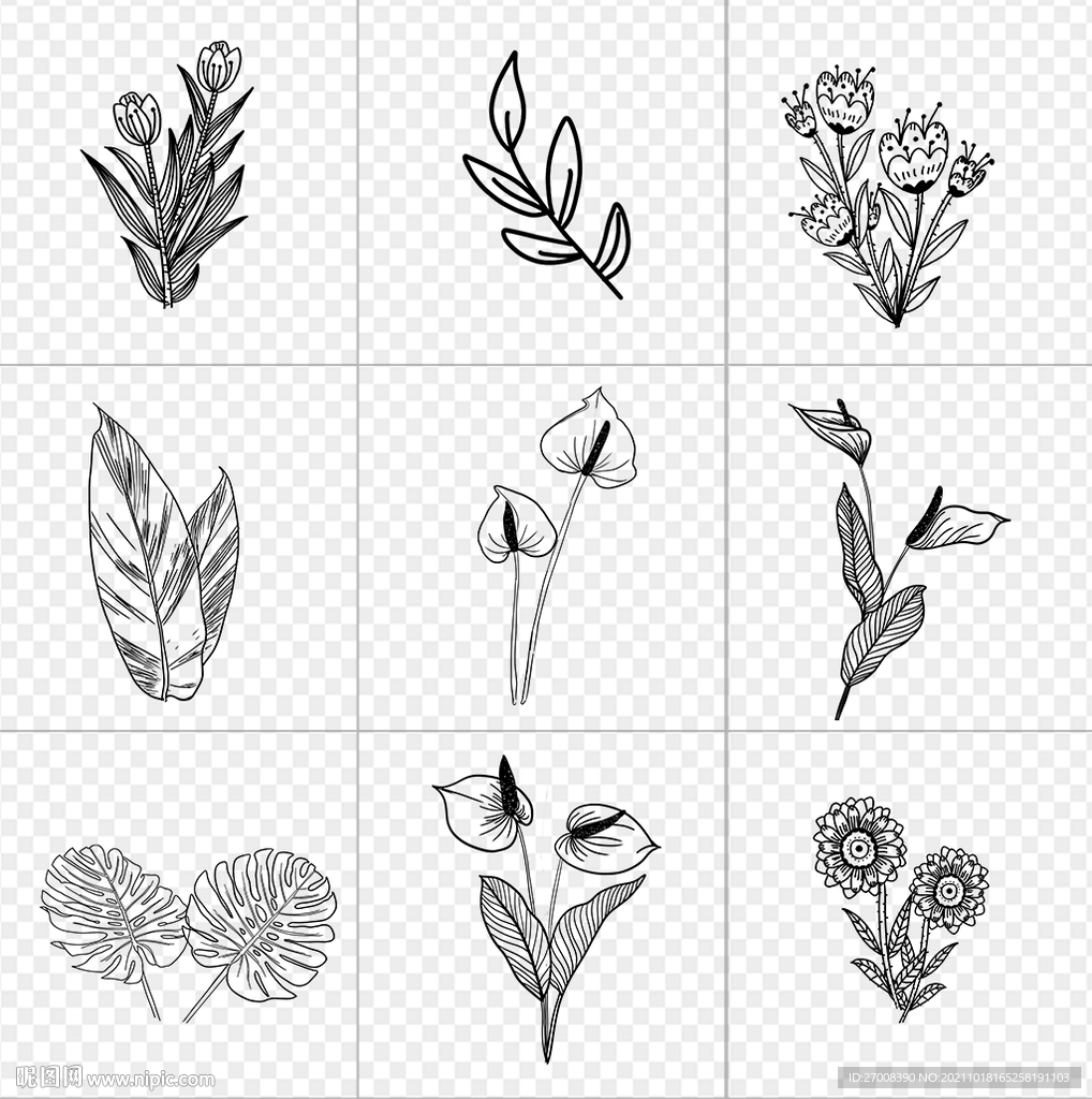 手绘白描叶子