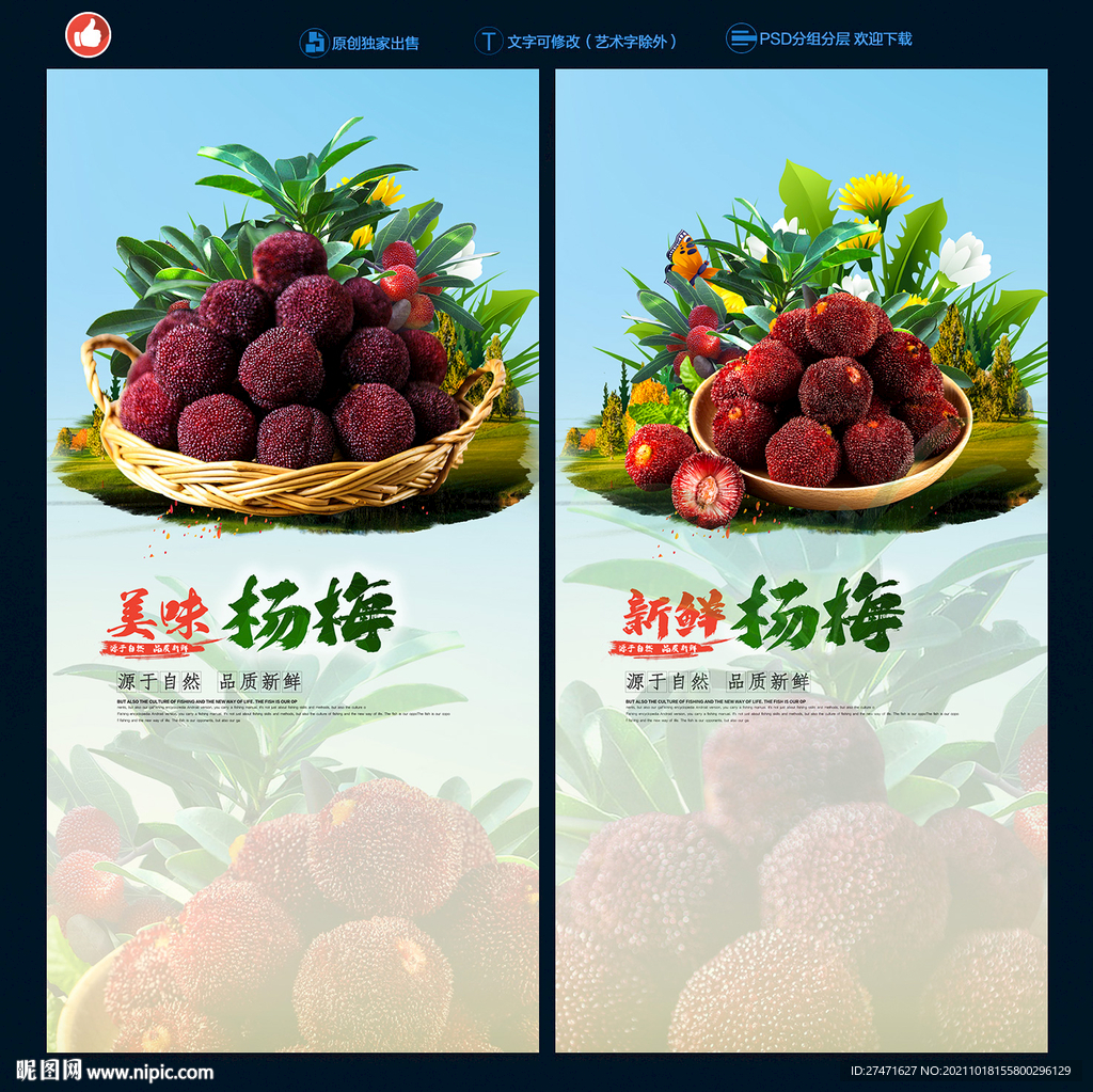 杨梅