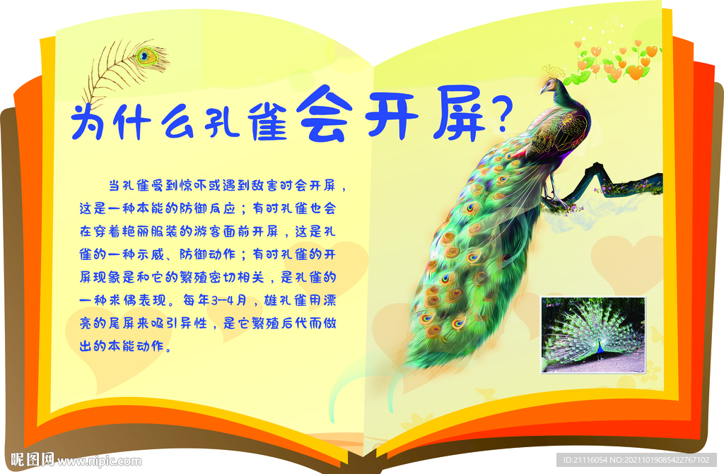 十万个为什么