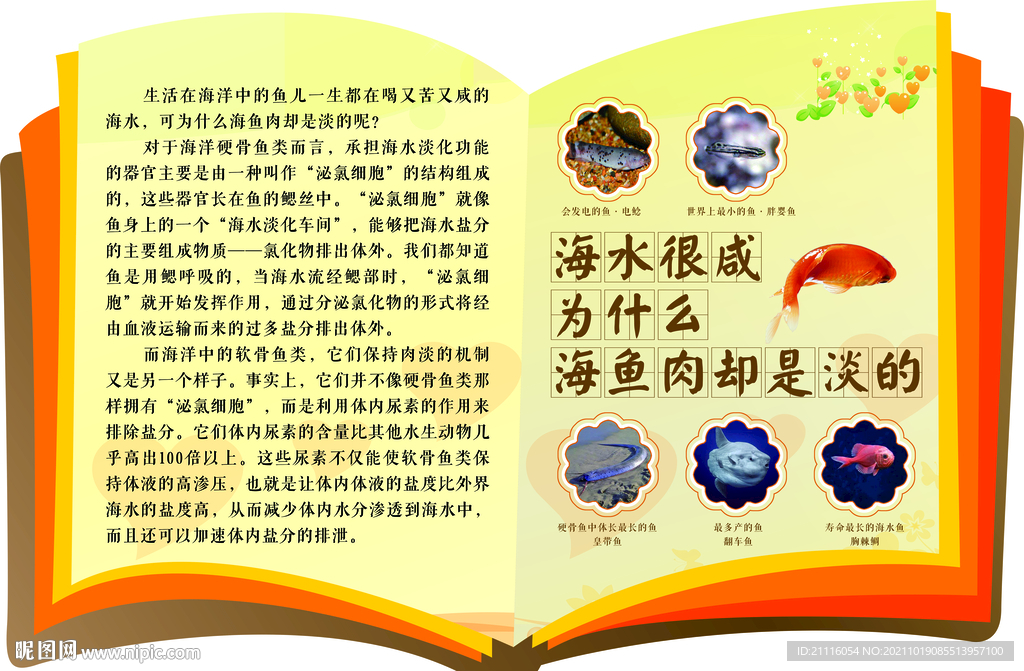 十万个为什么