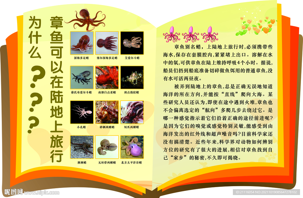 十万个为什么