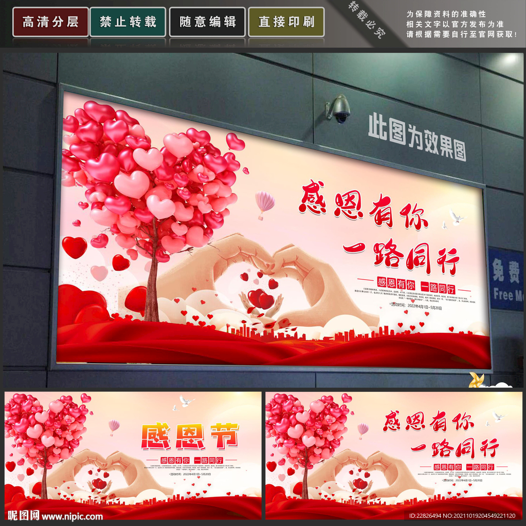 感恩节