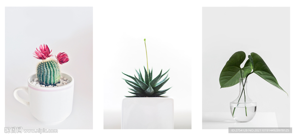 装饰画 晶瓷画 绿植 盘栽