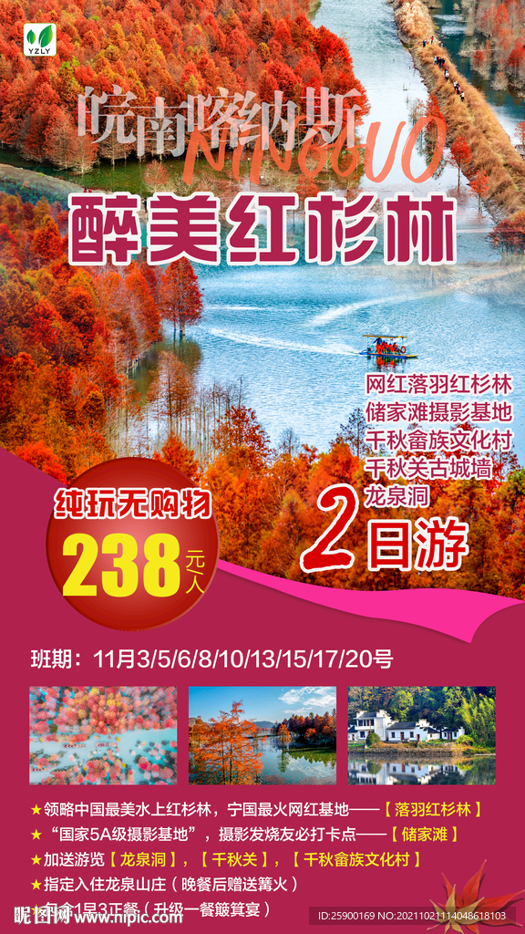 醉美红杉林