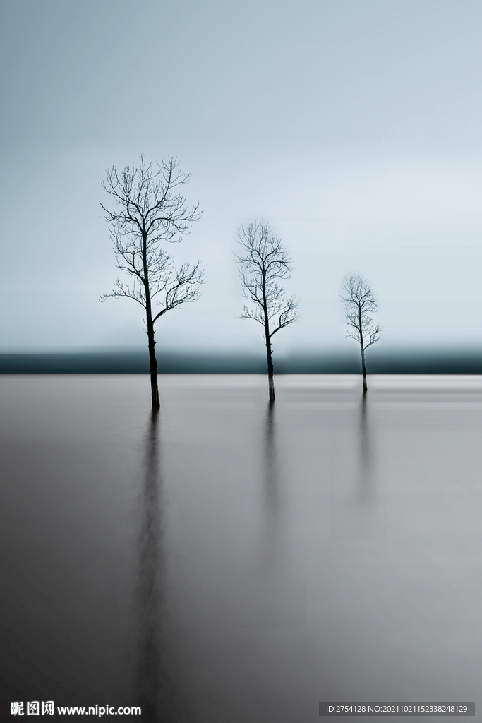 装饰画 晶瓷画 树