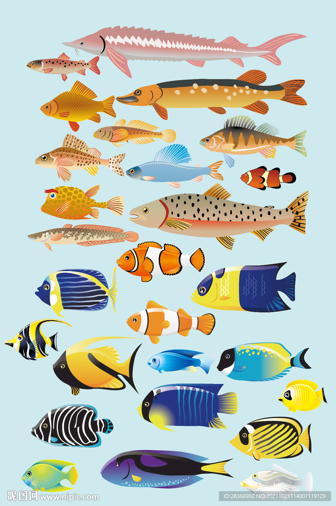 AI矢量卡通鱼儿海鱼