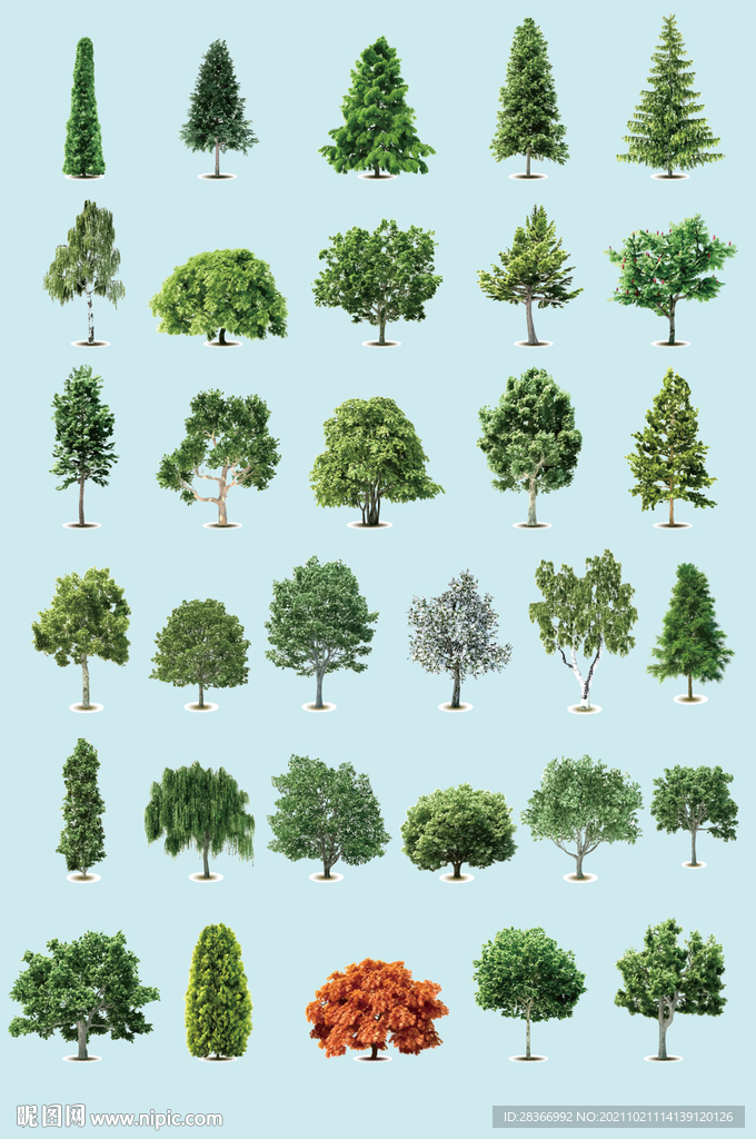 AI矢量树木树