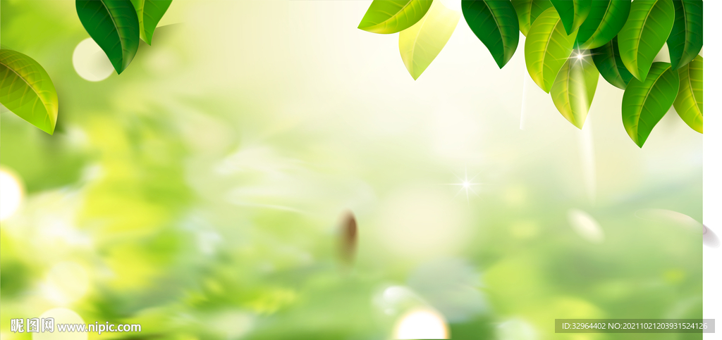梦幻清新树叶 