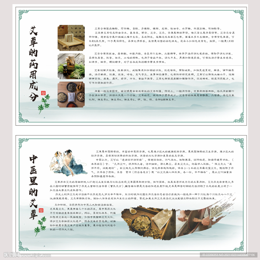 艾草的药用成分 中医里的艾草