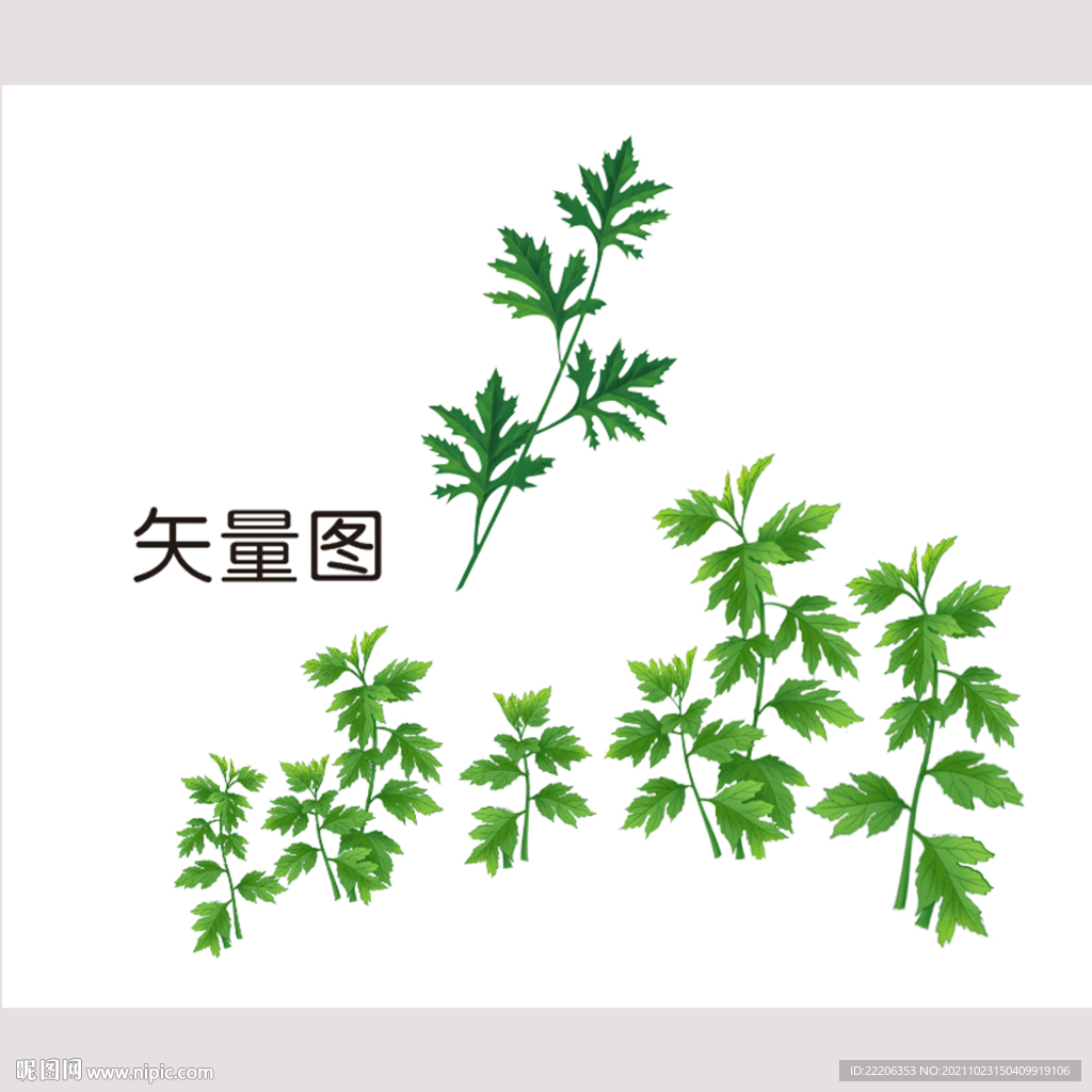 艾草