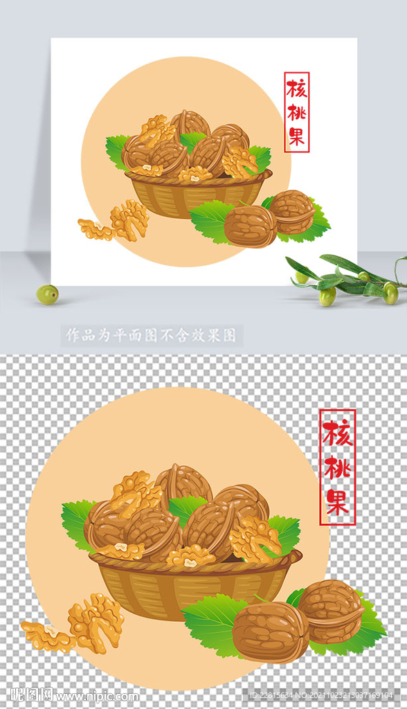 矢量坚果插画核桃