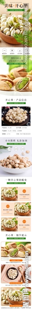 开心果详情