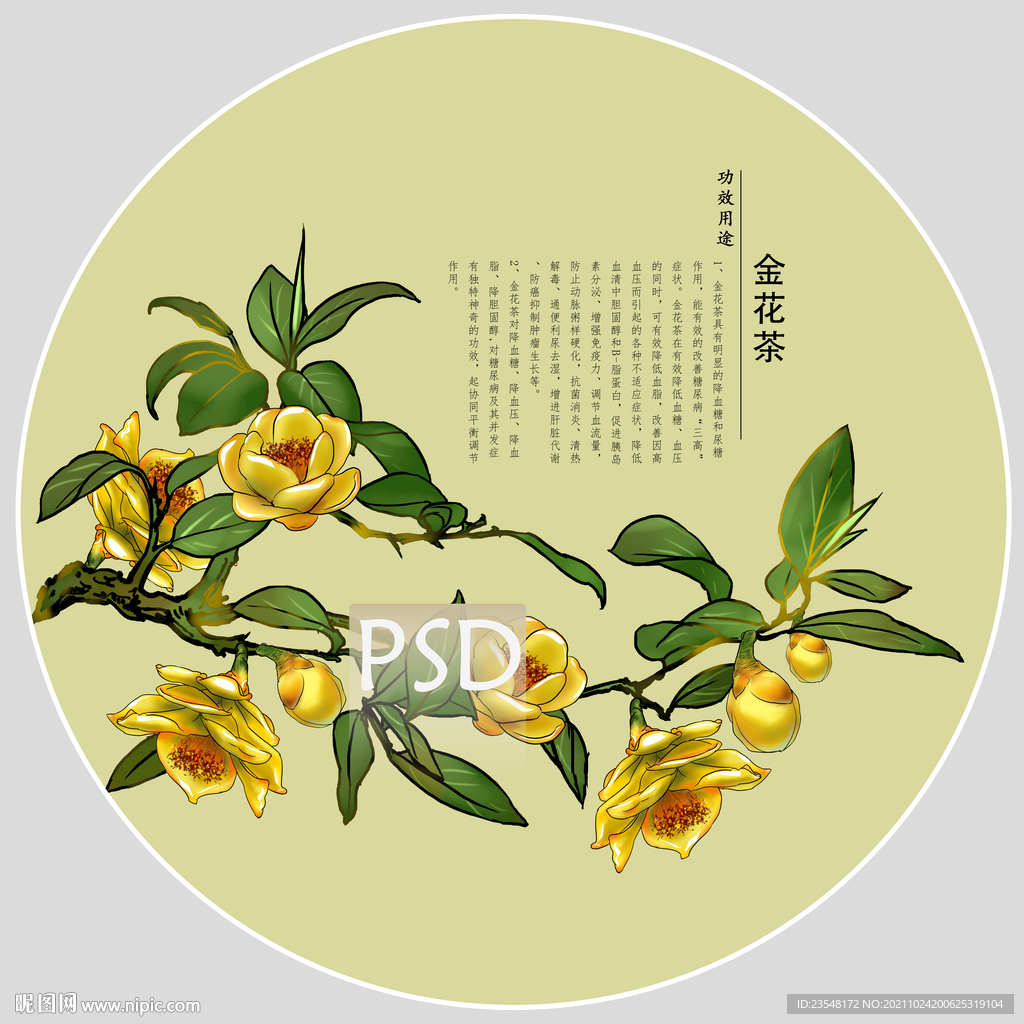 金花茶包装手绘装饰画