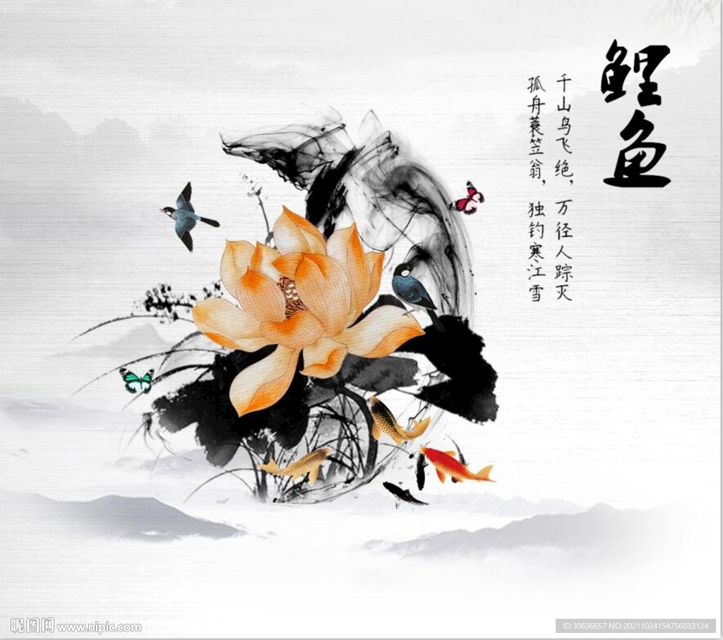鲤鱼
