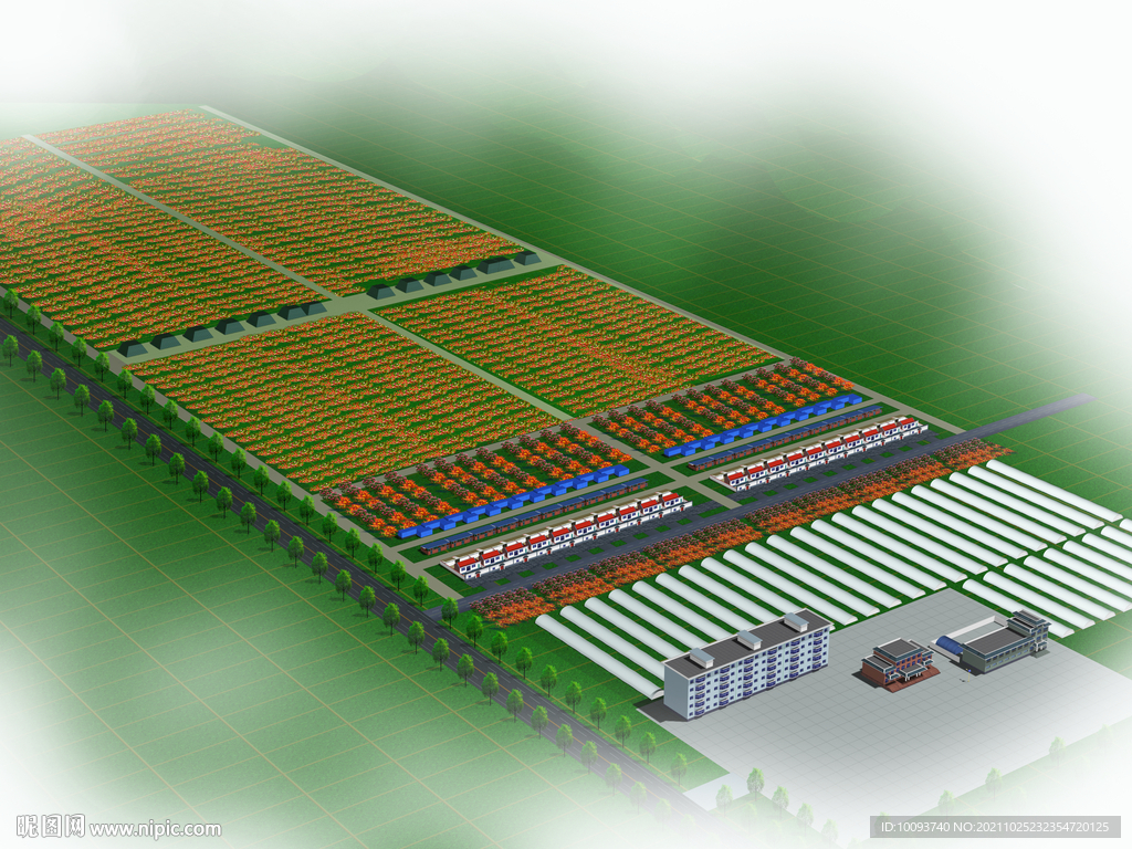 2023湖熟现代农业示范区游玩攻略,这届的湖熟菊花展非常漂亮，...【去哪儿攻略】