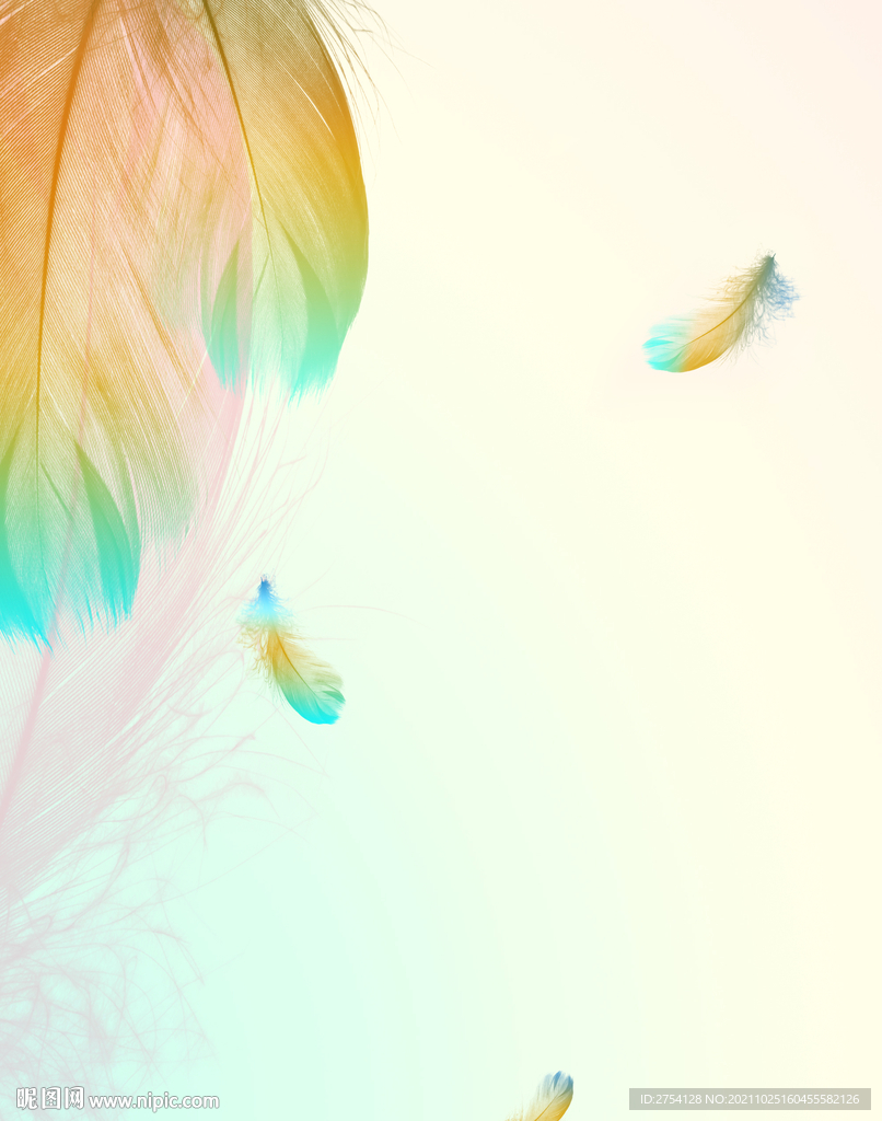 装饰画 晶瓷画 羽毛