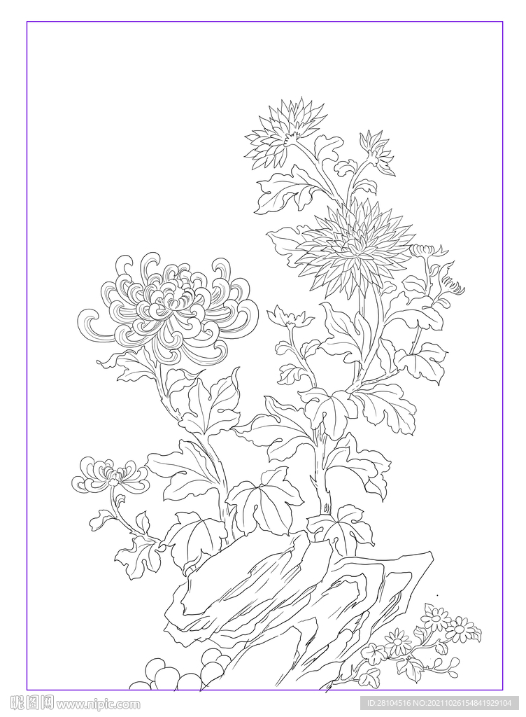 菊花
