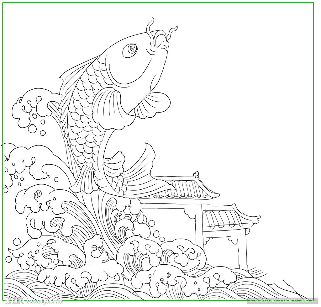 鲤鱼