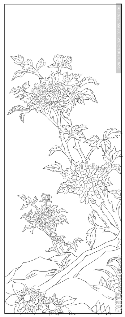 菊花