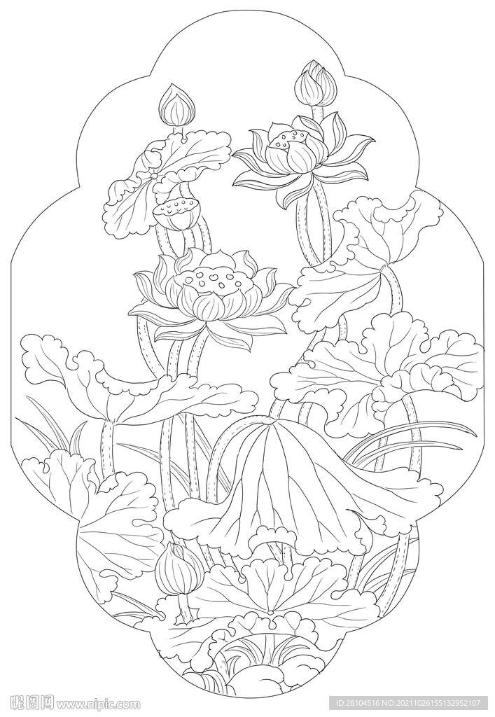 荷花