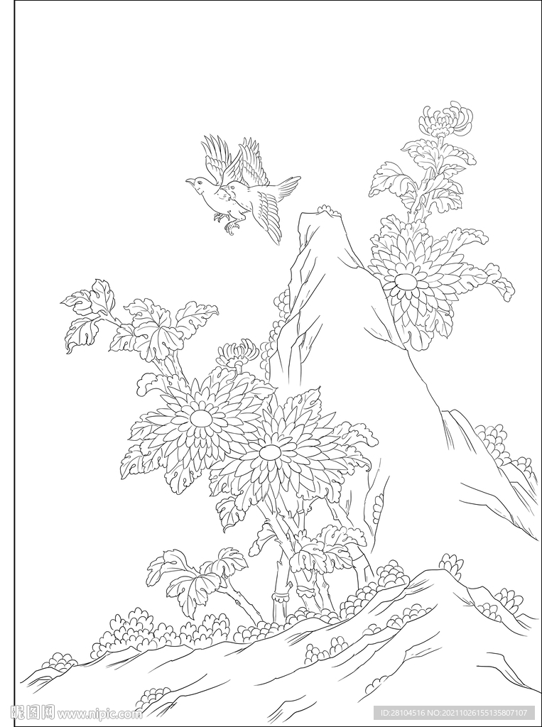 菊花