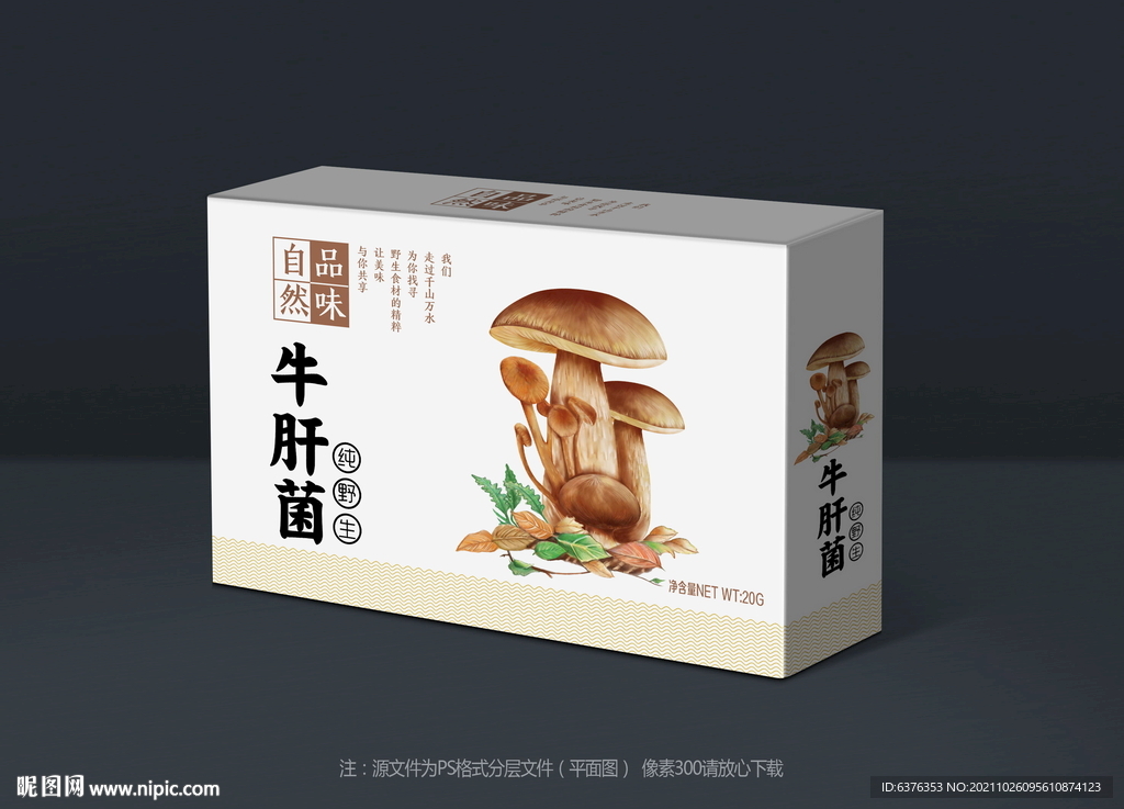 牛肝菌