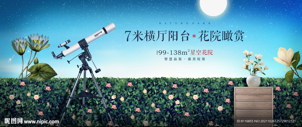 院子里的花园与星空
