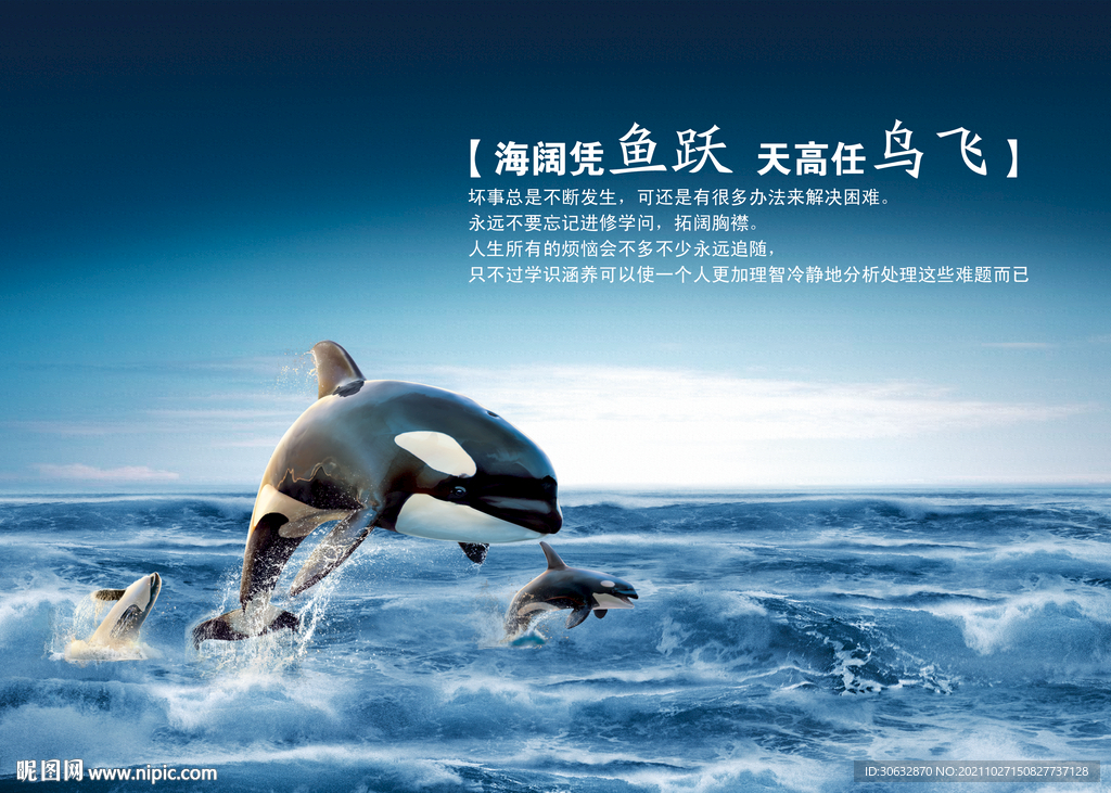 海阔凭鱼跃 天高任鸟飞