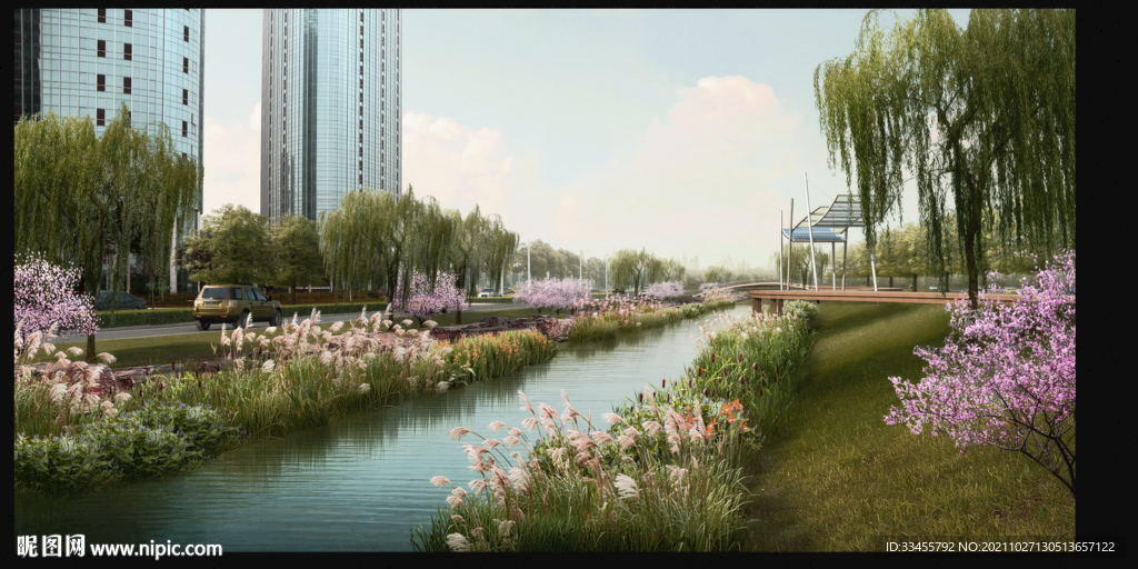 河道湿地芦苇荡柳树