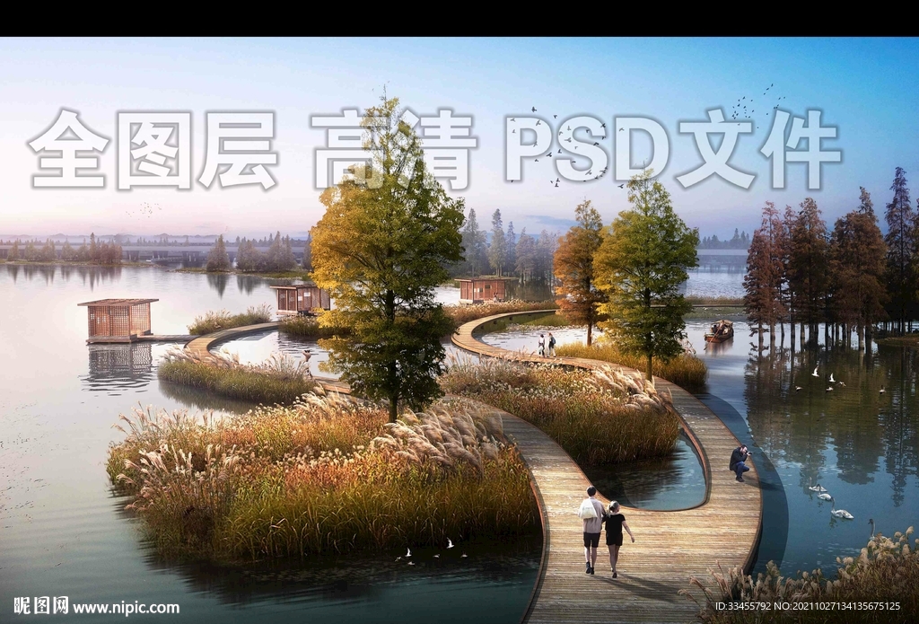 秋季湿地芦苇荡栈道