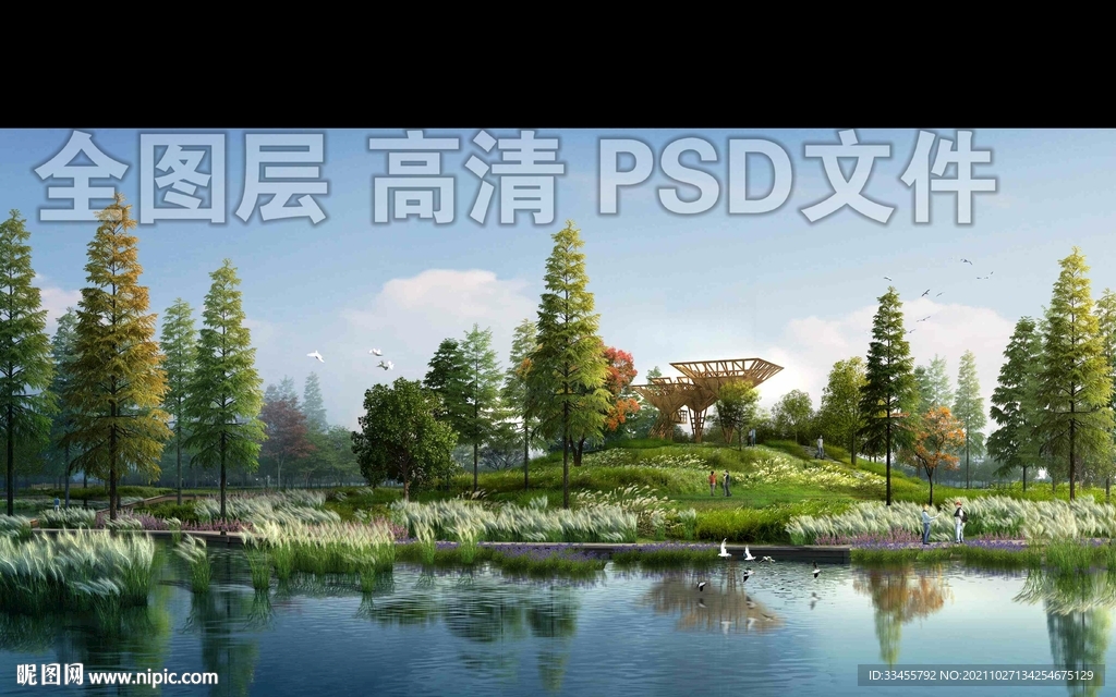 水杉芦苇荡湿地公园