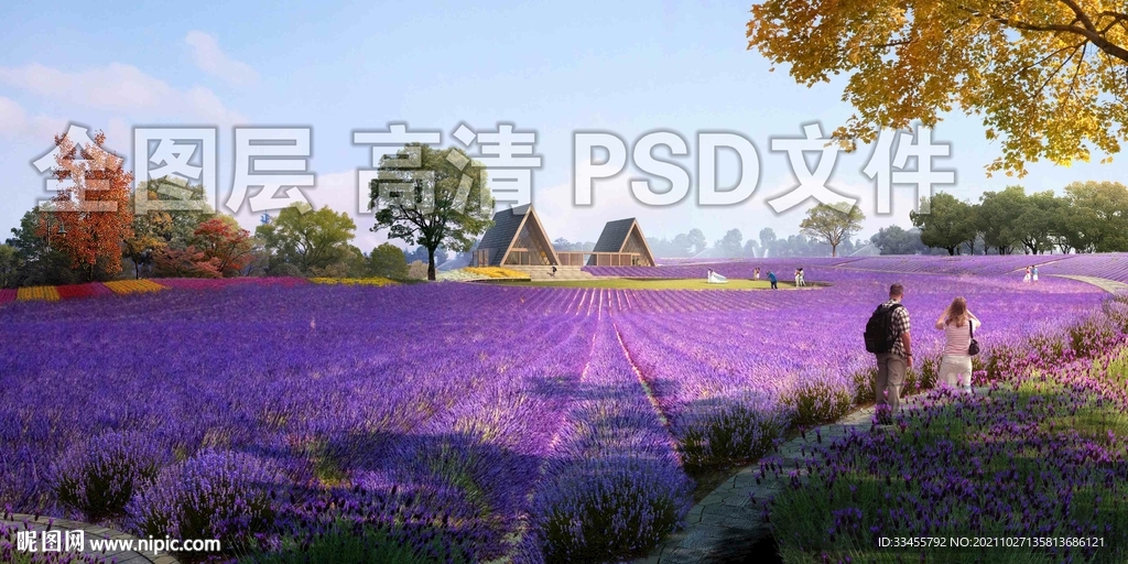 薰衣草花海