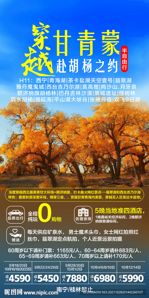 穿越甘青蒙 胡杨林旅游海报图片