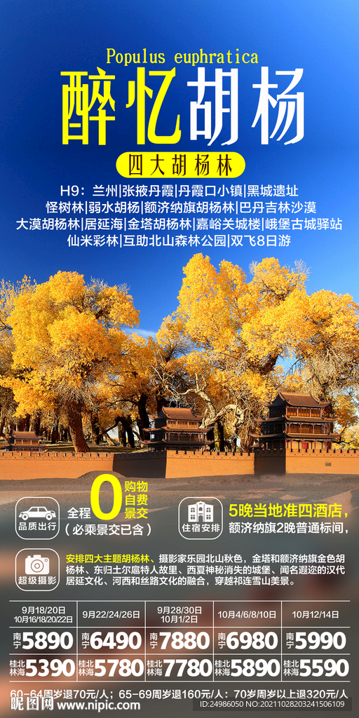 胡杨林旅游海报图片