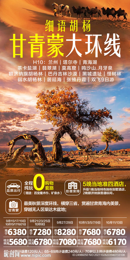 胡杨林 甘青蒙 金秋旅游海报