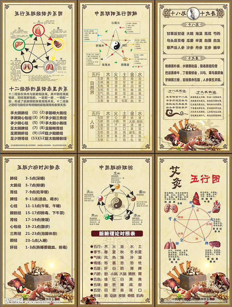 中医养生 养生五行