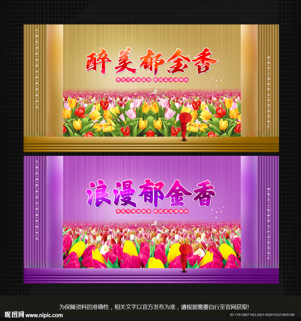 郁金香