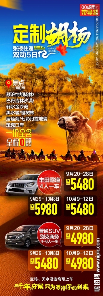 胡杨林旅游