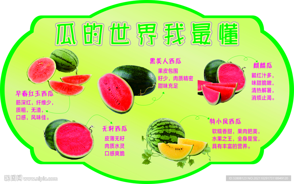 西瓜总汇 瓜的世界我最懂