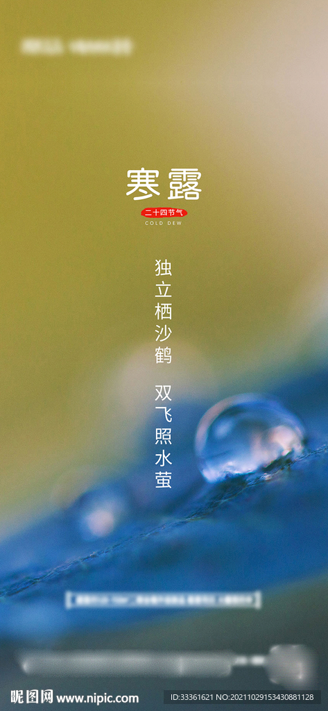 地产寒露节气海报