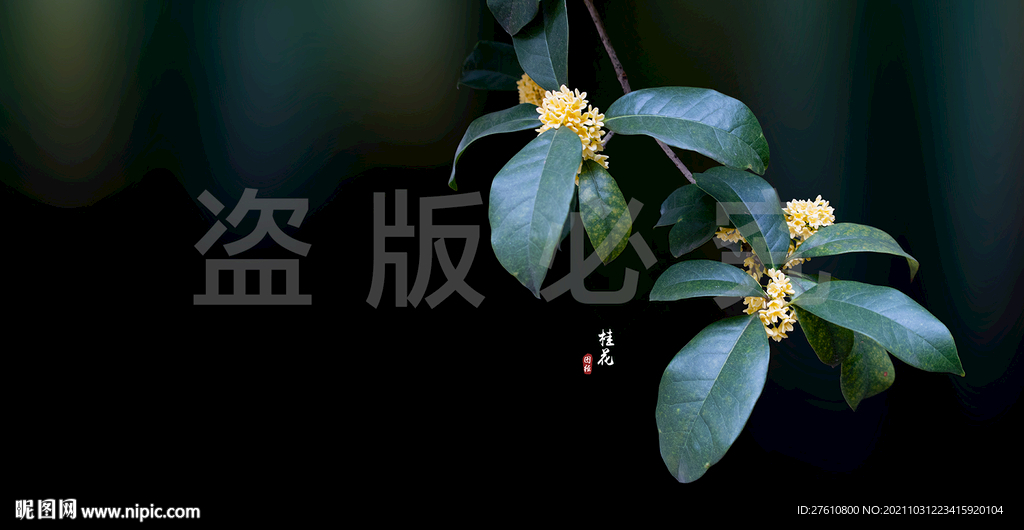 桂花