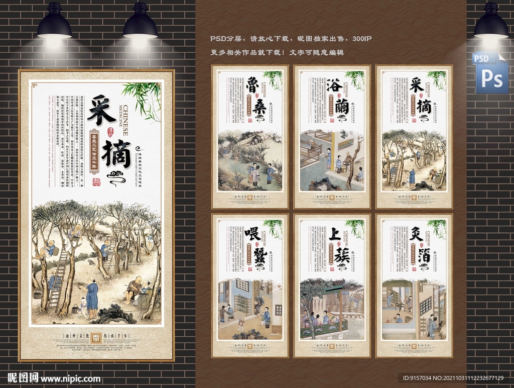蚕