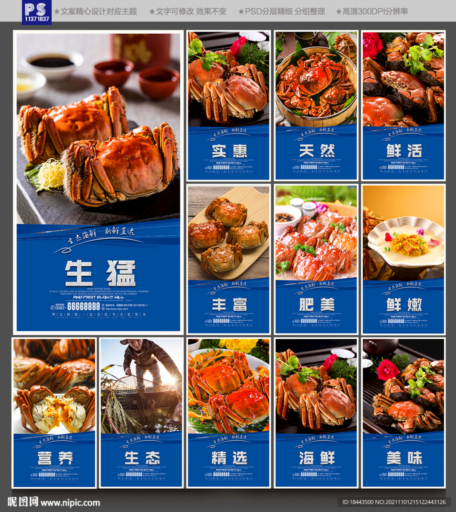 大闸蟹海报