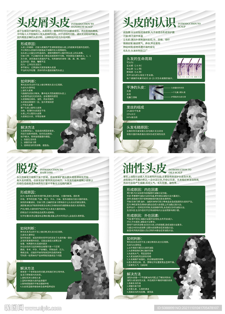 油性头皮头发 脱发 头皮屑 