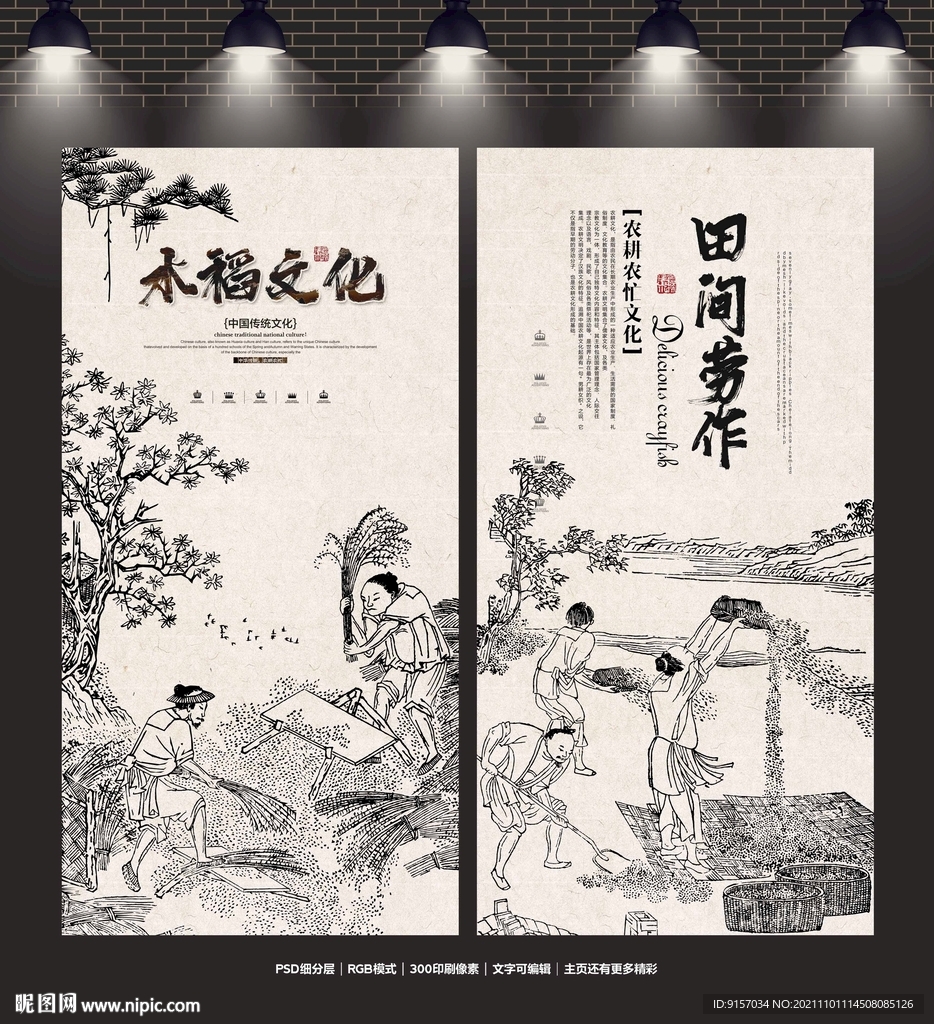 水稻
