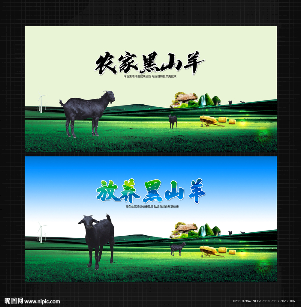 黑山羊